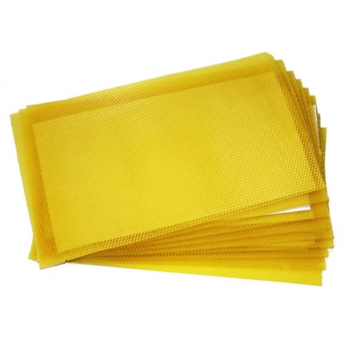 Apis Cerana Nest Foundation Bee Honeycomb Comb 30ps/bag