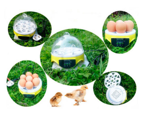 Mini Incubator 7 Egg Capacity Automatic Digital Chicken Duck Bird Hatch Tool