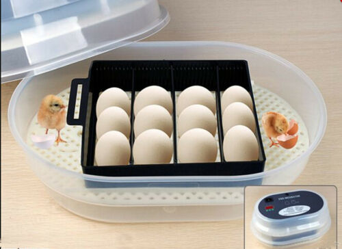 12 Eggs Incubator Auto-turning