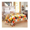 Two-side Blanket Bedding Throw Coral fleece Super Soft Warm Value 200cm 40