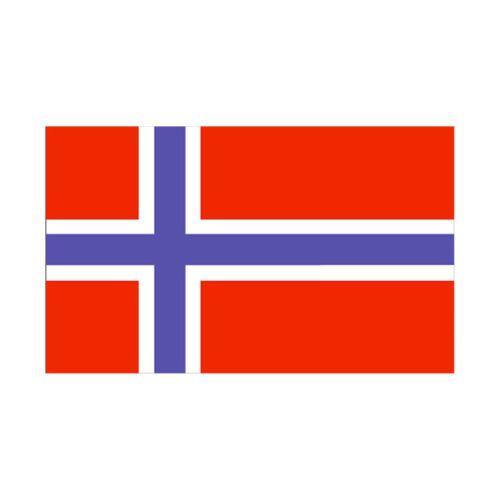 90 * 150 cm flag Various countries in the world Polyester banner flag    Norway