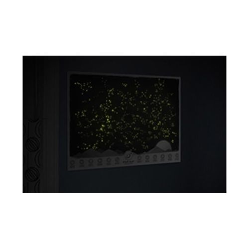 Glow in the dark Star Fluorescent Constellation Luminous Map Poster Wall Sticker