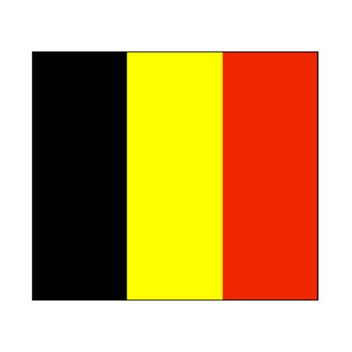 90 * 150 cm flag Various countries in the world Polyester banner flag        Bel