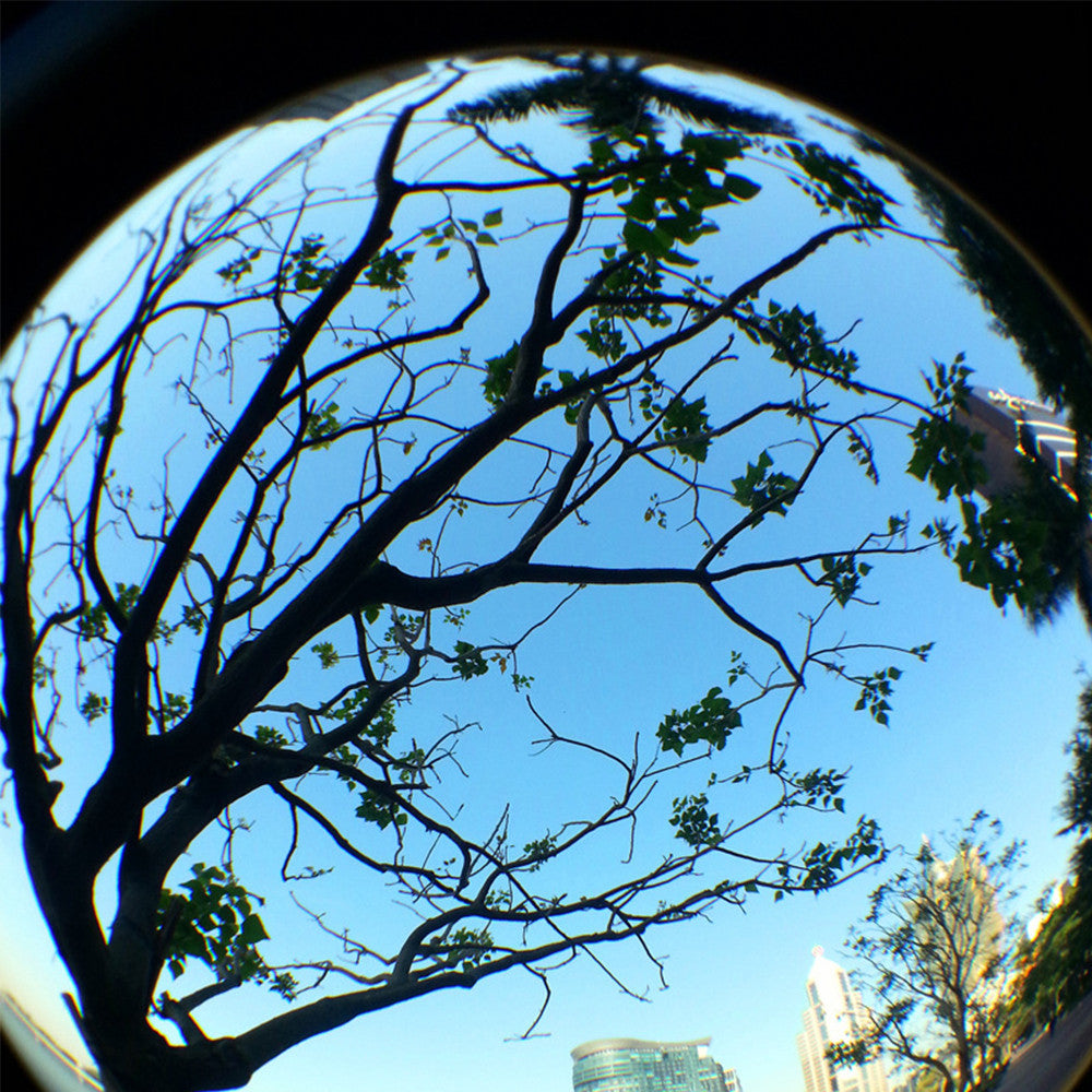 LIEQI LQ008 super wide-angle fisheye macro effects CPL filter Four cell phone camera Red - Mega Save Wholesale & Retail - 2