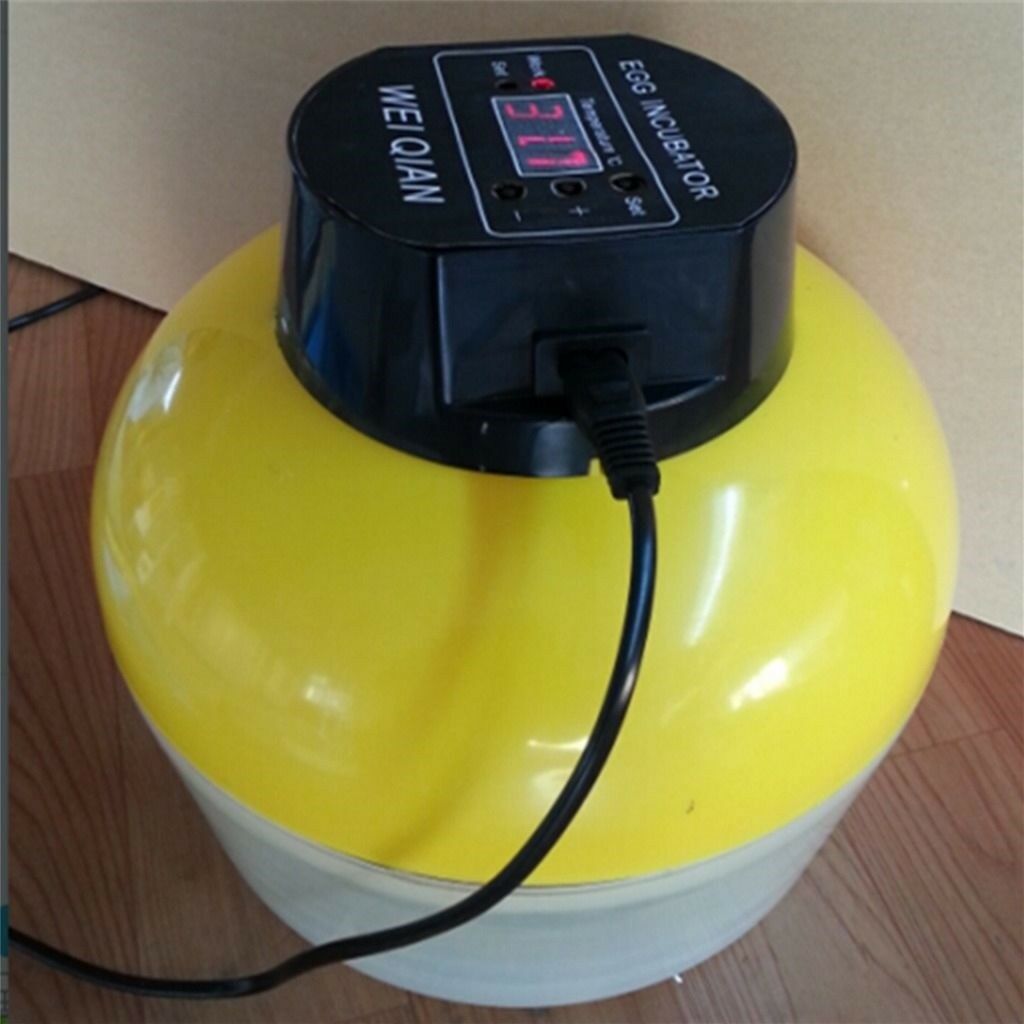 Mini Automatic Incubator 8 eggs Duck Goose Bird Incubator Family hatch tool 110V