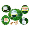 Mini Incubator 7Egg Capacity Automatic Digital Chicken Duck Bird Hatch Tool 110V