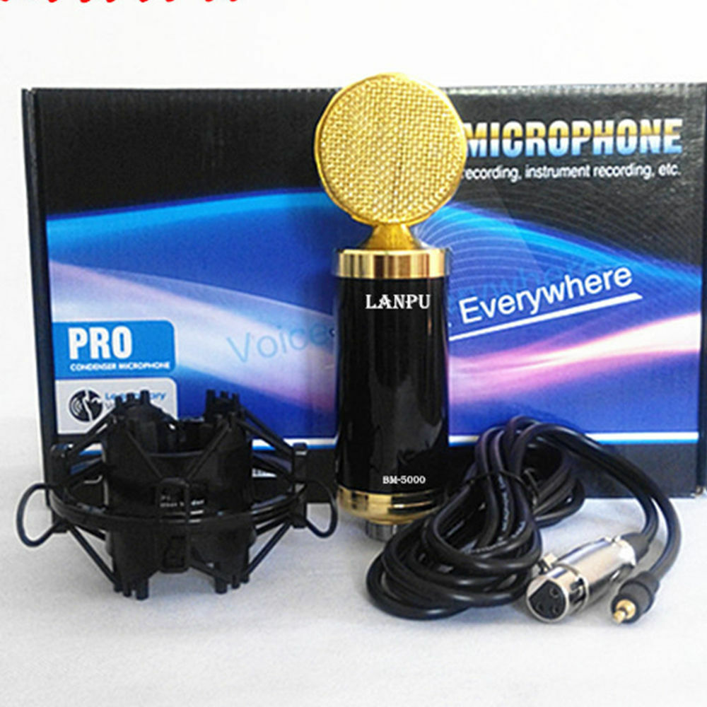 computer sound record microphone capacitance microphone wired microphone online
