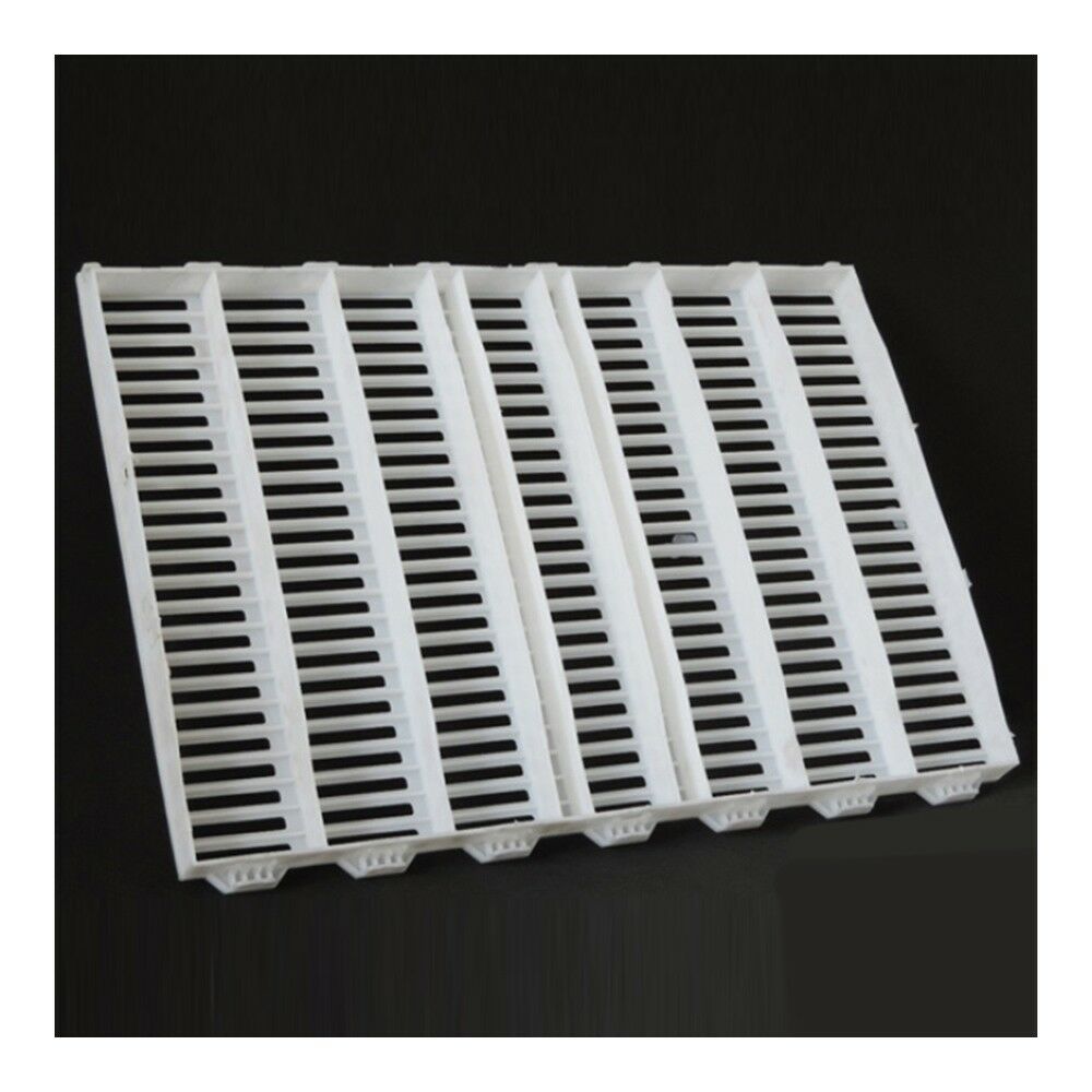 White Piglet Pig Plastic Floor Board Dung Mesh 60x70