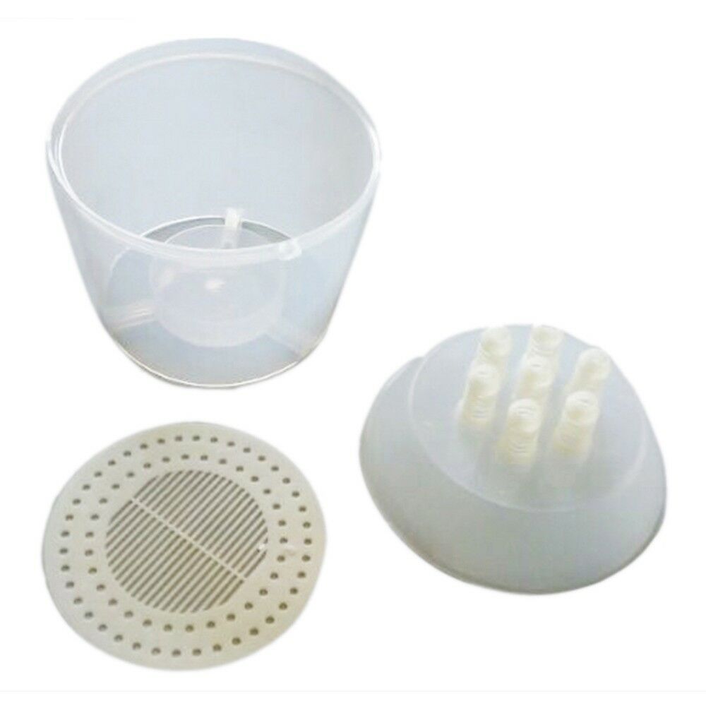 Wasp Cage Trap Trapper For Large Bees Factory