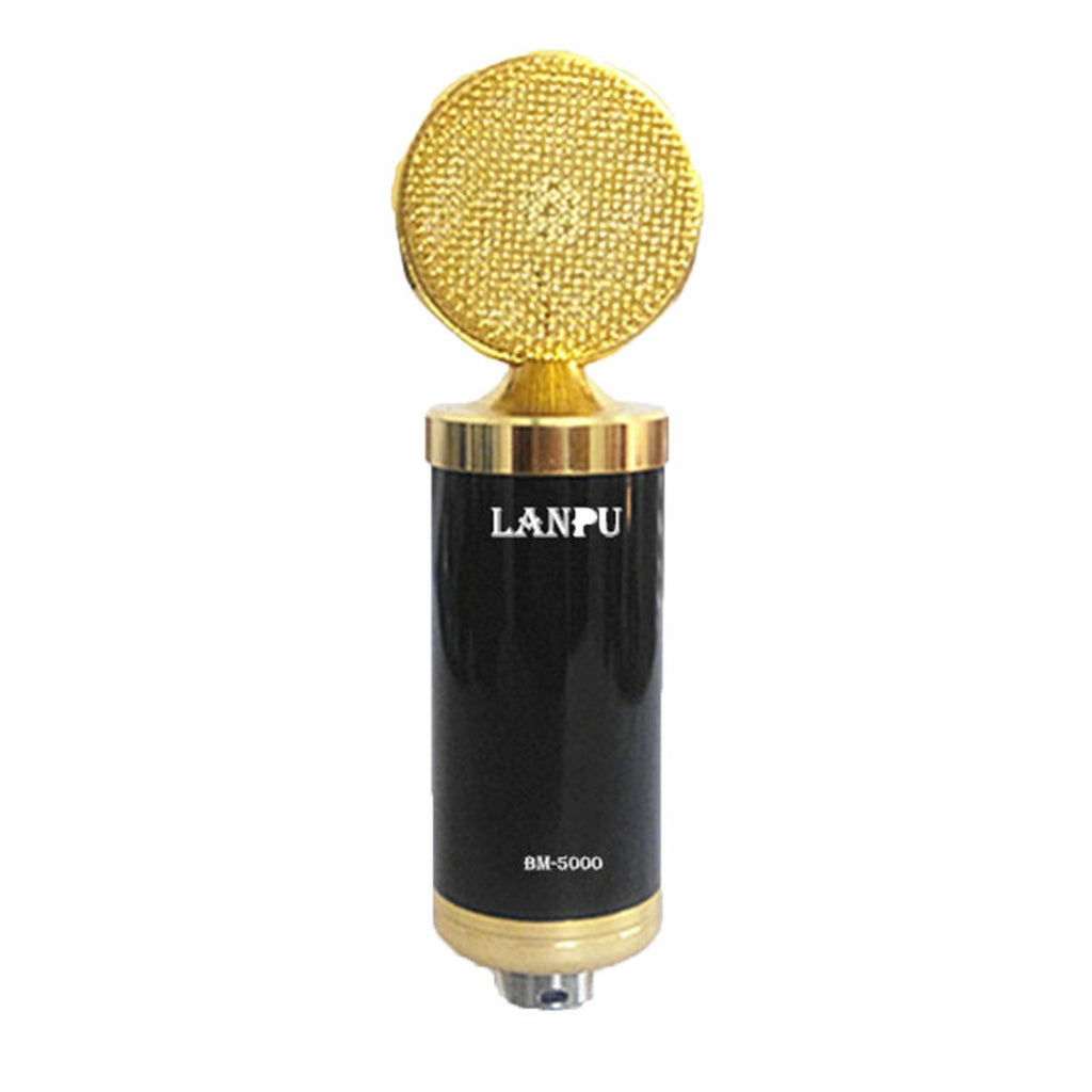 computer sound record microphone capacitance microphone wired microphone online