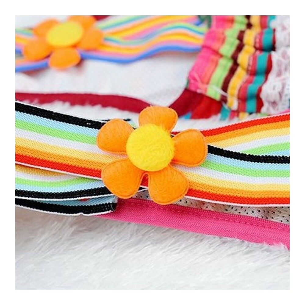 Rainbow Design Dog Suspender Physiological Pants 8#