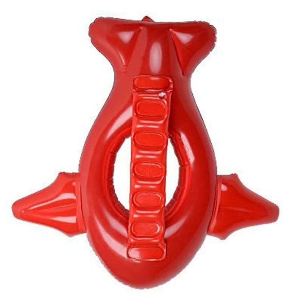 Plane Aircraft Aeroplane Water Wing Swim Ring Children