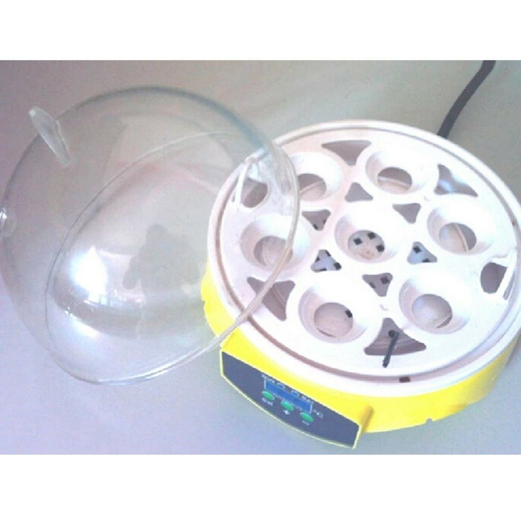 Mini Incubator 7Egg Capacity Automatic Digital Chicken Duck Bird Hatch Tool 110V