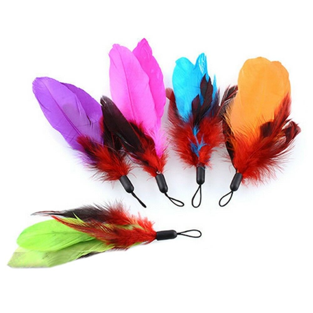 Cat Pet Toy Colorful Feather Substitution 5 pack