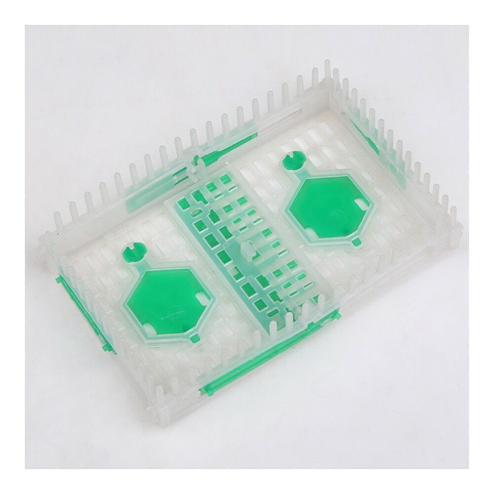 10pcsNeedle Cage Queen Cage Beekeeping Equipment