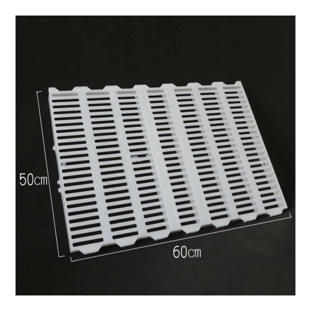 White Piglet Pig Plastic Floor Board Dung Mesh 50x60