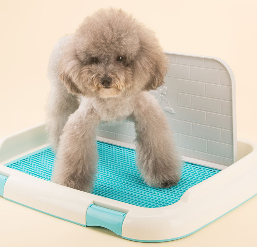 Indoor Pet Puppy Toilet Doggy Training Potty Patch Training Pad with wall