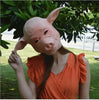 Pig Head Mask Rubber Latex Animal Costume Full head Mask Halloween Costume Fancy