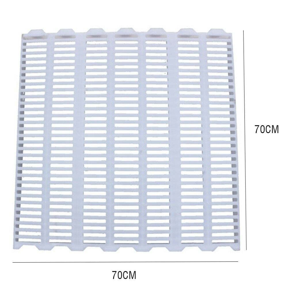 White Piglet Pig Plastic Floor Board Dung Mesh 70x70