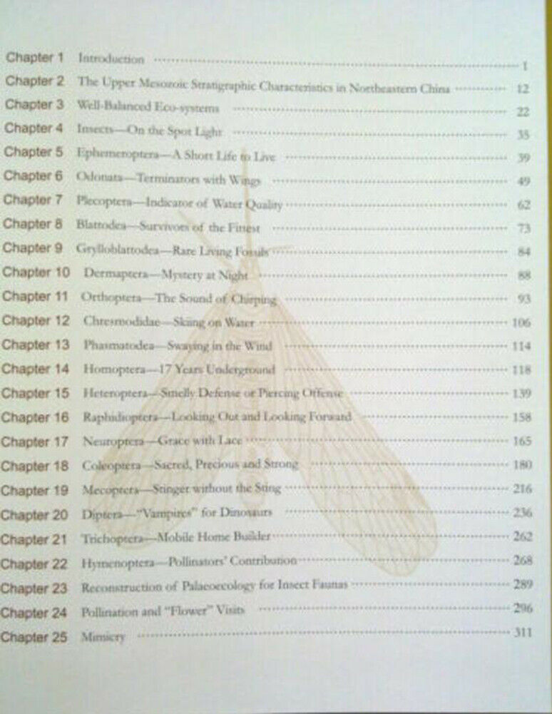 Insect Fossil Treasures from Dinosaur Era of the Northeastern China