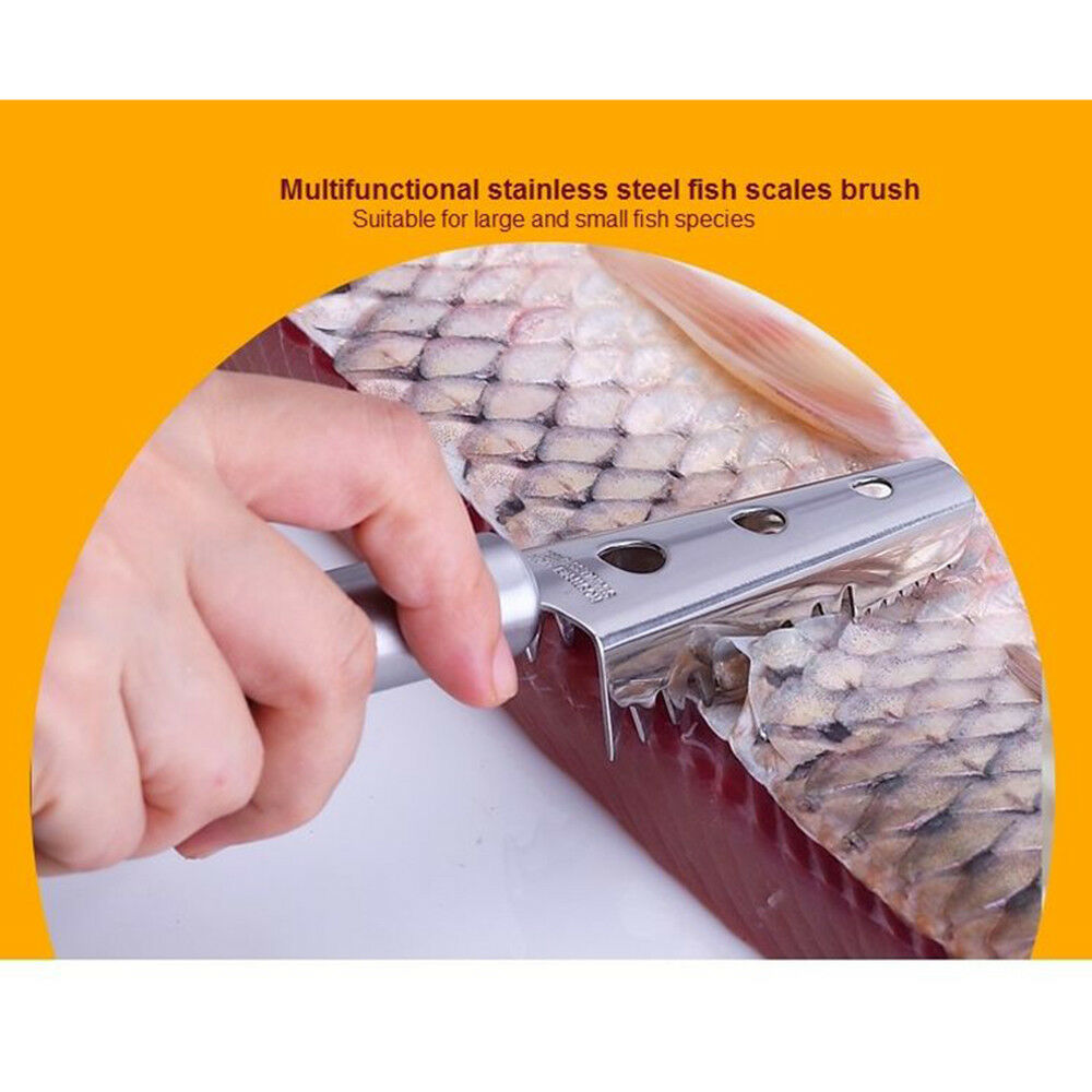 304 Stainless steel scraping scales fish scaler Skinner VBARS