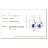 Original handmade ceramic jewelry wholesale earrings blue butterfly flower