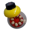 Mini Automatic Incubator 8 eggs Duck Goose Bird Incubator Family hatch tool 110V