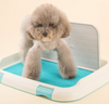 Indoor Pet Puppy Toilet Doggy Training Potty Patch Training Pad with wall