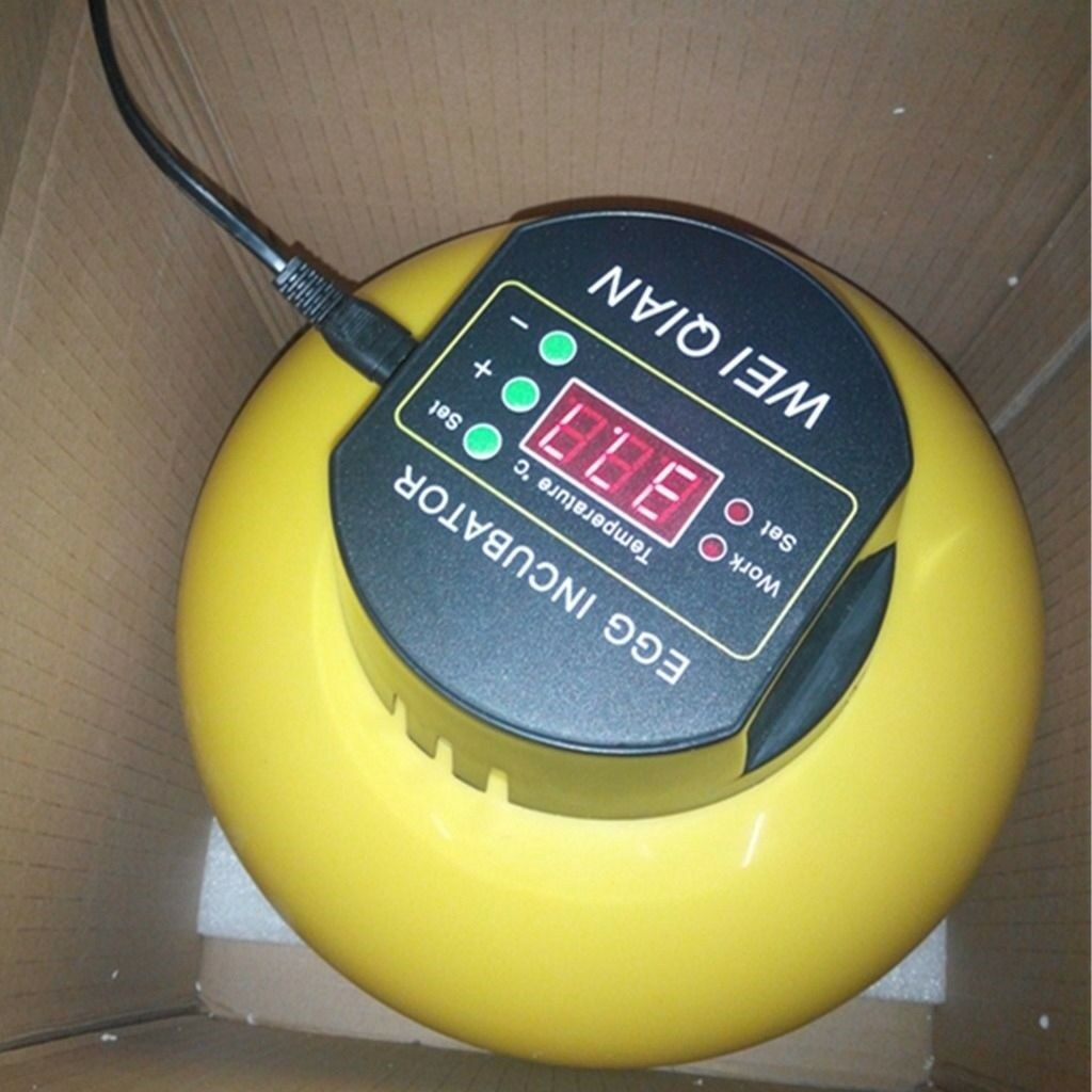 Mini Automatic Incubator 8 eggs Duck Goose Bird Incubator Family hatch tool 110V