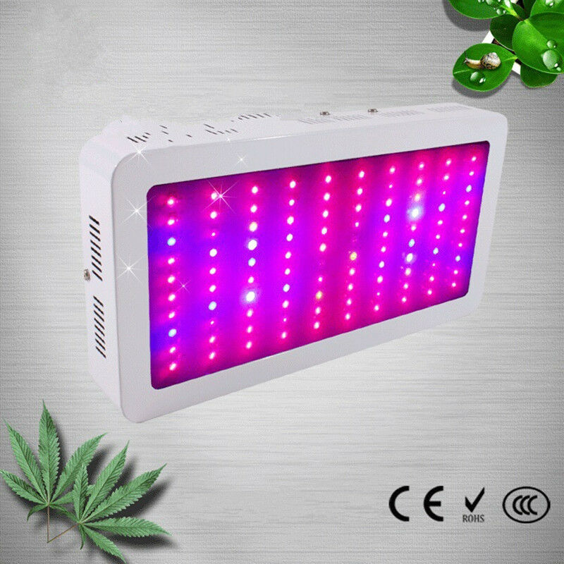 100 * 3W Grow Light LED grow lights LED grow lights LED fill light