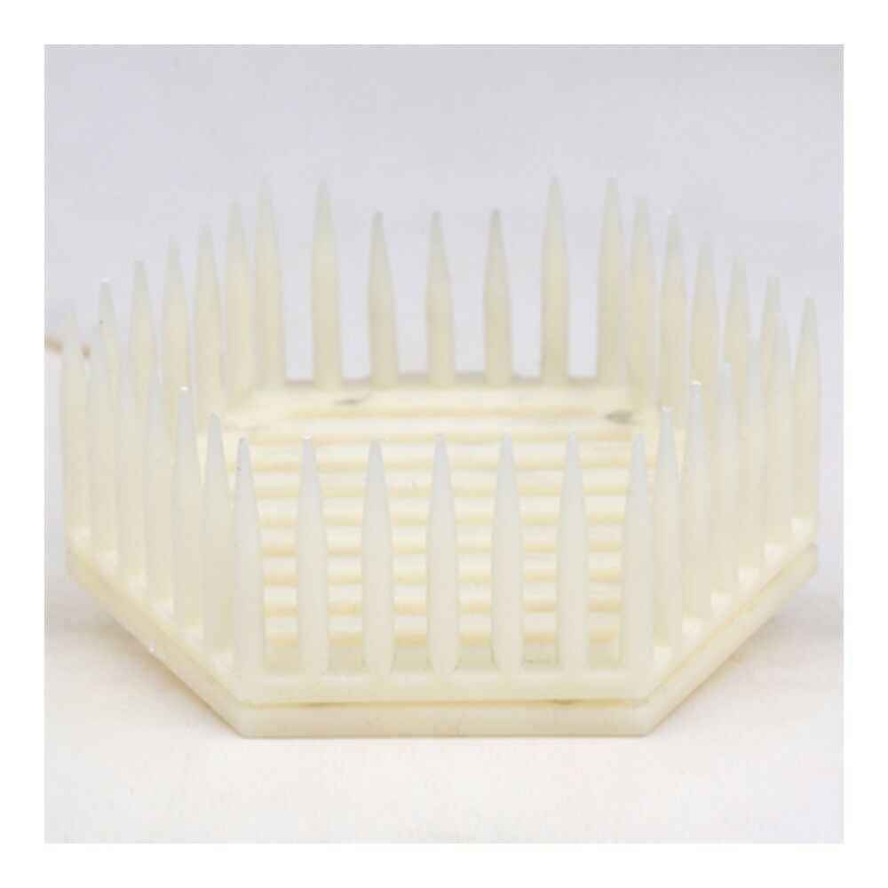 Queen Cage Needle Type Universal for Chinese Bee Apis mellifera
