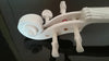 Student Acoustic Violin 4/4 Maple Spruce with Case Bow Rosin all white Color