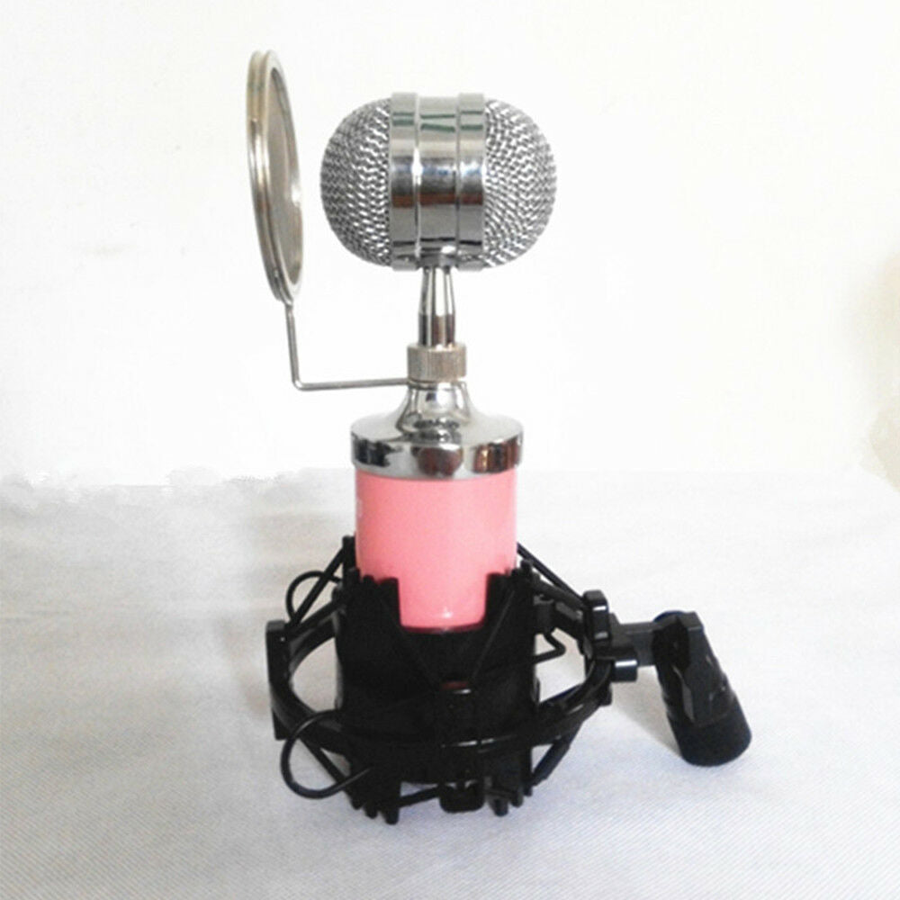 professional capacitance computer sound record microphone web KTV voice