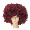Fashion Afro Cosplay Curly Clown Party 70s Disco Cosplay Wig Cheering Squad Clown   coffee - Mega Save Wholesale & Retail