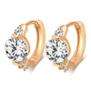 Fashionable Delicate Earrings - Mega Save Wholesale & Retail - 1