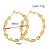 18K Gold Galvanized Zircon Earrings