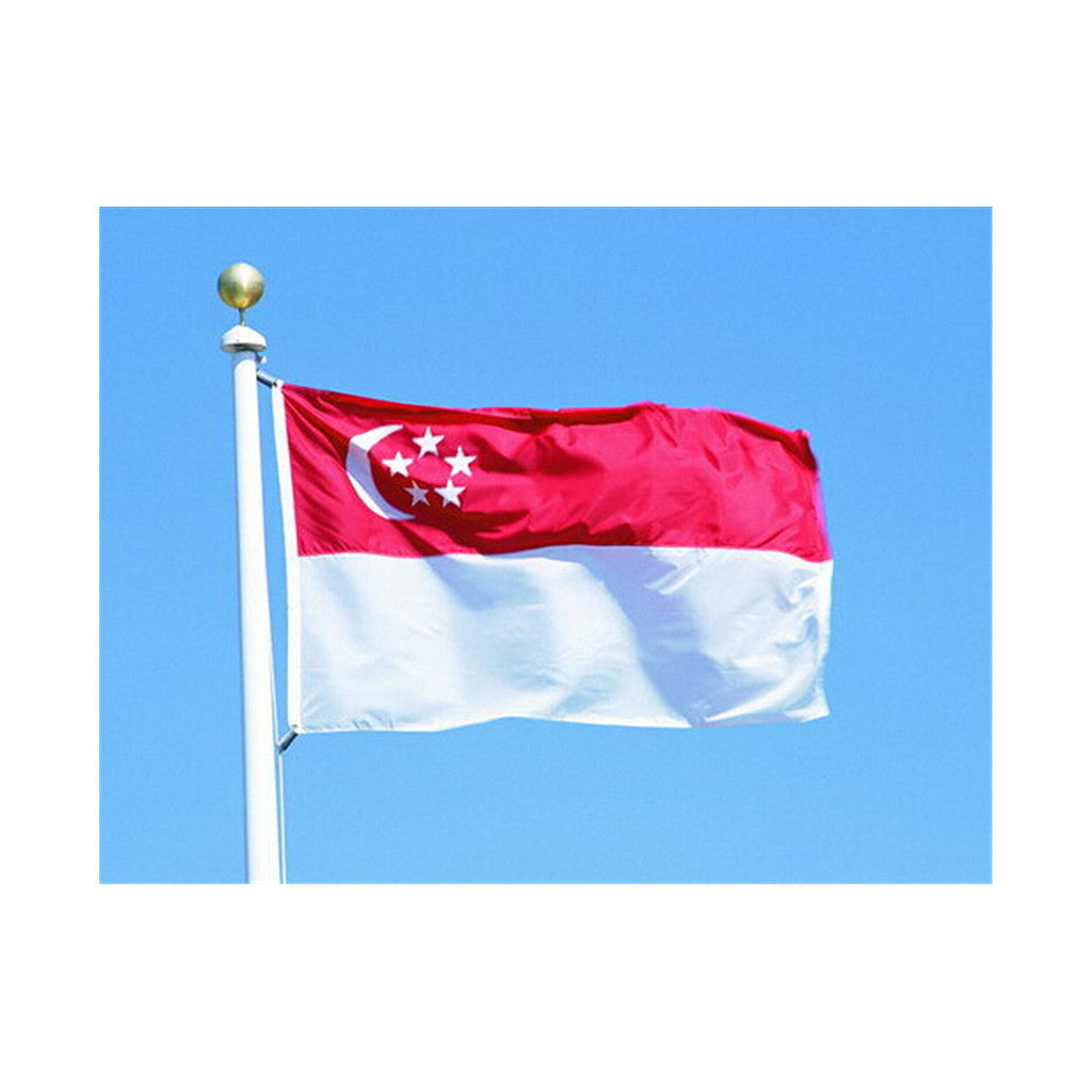 120 * 180 cm flag Various countries in the world Polyester banner flag    Singapore - Mega Save Wholesale & Retail