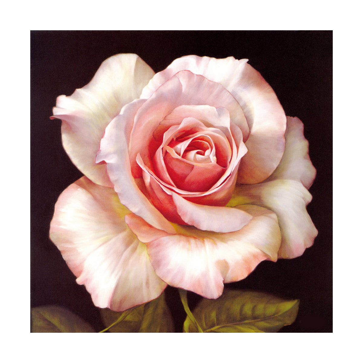 Pavilion of regimen wall painting decoration painting beauty salon hang painting flower without frame canvas for painting wall painting rose oil painting   02 - Mega Save Wholesale & Retail - 1