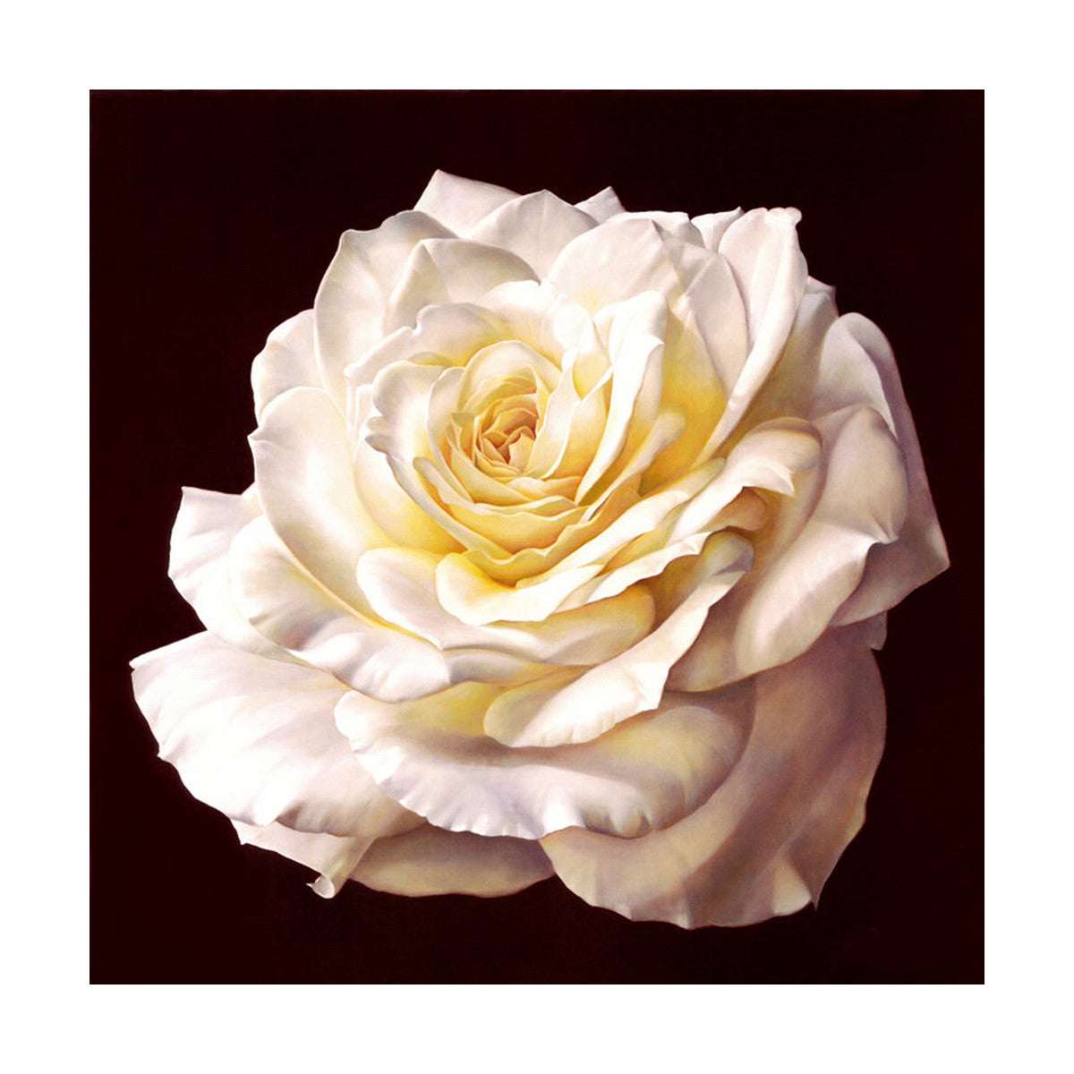 Pavilion of regimen wall painting decoration painting beauty salon hang painting flower without frame canvas for painting wall painting rose oil painting   04 - Mega Save Wholesale & Retail - 1