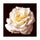 Pavilion of regimen wall painting decoration painting beauty salon hang painting flower without frame canvas for painting wall painting rose oil painting   04 - Mega Save Wholesale & Retail - 1