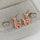 Plated Rose Gold  Giraffe Earrings 