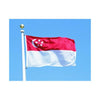 160 240 cm Flagge Verschiedene Länder in The World Polyester Fahne Singapo