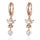 18K Gold Galvanized Zircon Earrings