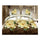 3D Flower Bed Quilt/Duvet Sheet Cover 4PC Set Cotton Sanded 014
