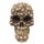 Creative Skull Human Skeleton Statue