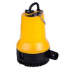 24V DC Submersible Pump Seaflo Water Pump