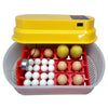 12 Eggs Incubator Auto-turning Poultry Hatcher Chicken 110V Duck, Goose