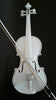 Student Acoustic Violin 4/4 Maple Spruce with Case Bow Rosin all white Color