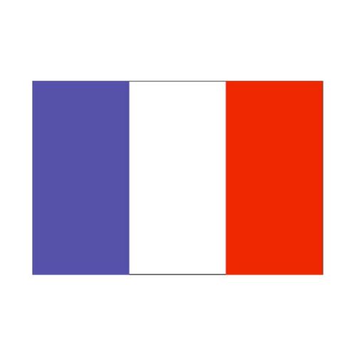 120 * 180 cm flag Various countries in the world Polyester banner flag    France