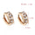 Earrings 18K Gold Galvanized Zircon